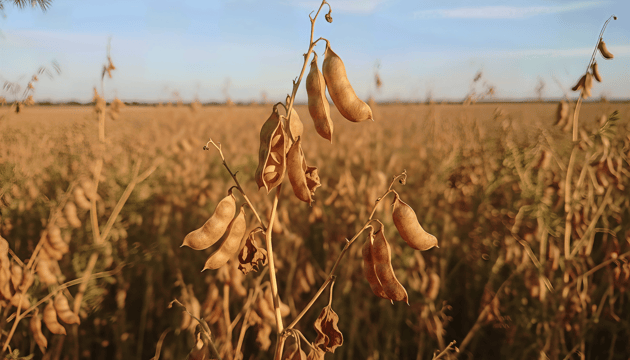 water management for dry farm