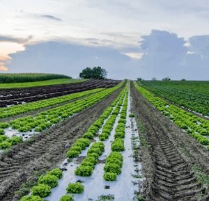 IoT-Agriculture-Sensors-App-Tile-1