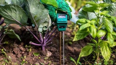 Soil-Moisture