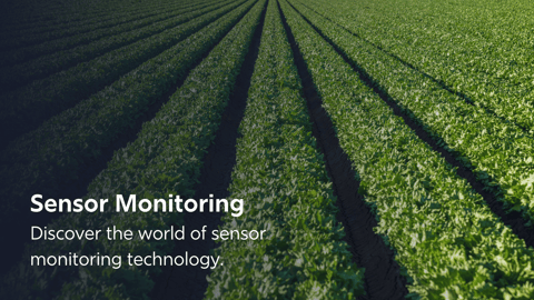 Sensor Monitoring Home Digital Matter