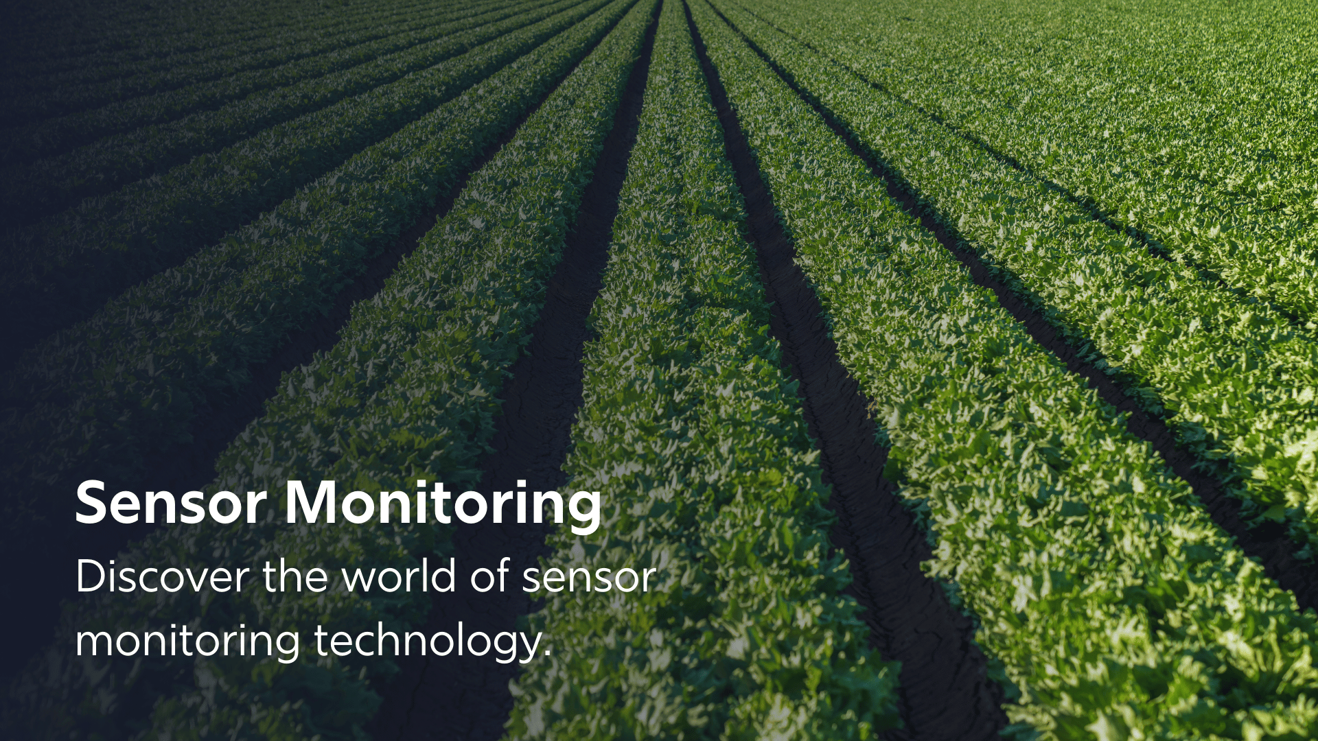 GPS & IoT Tracking Device Manufacturers | Digital Matter
