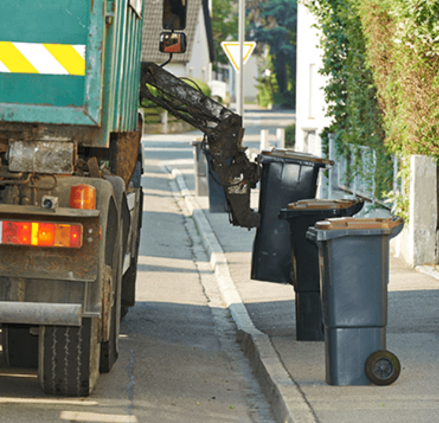 Simulated-Litter-1