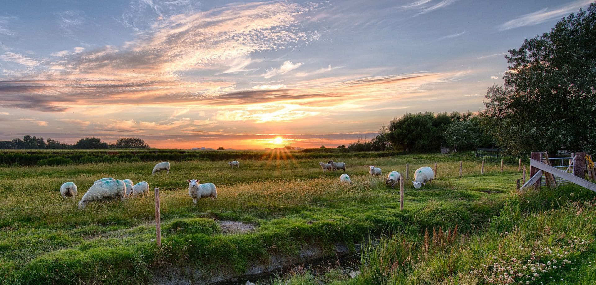 Improving Farm Safety and Management | LoRaWAN® and Farmdeck