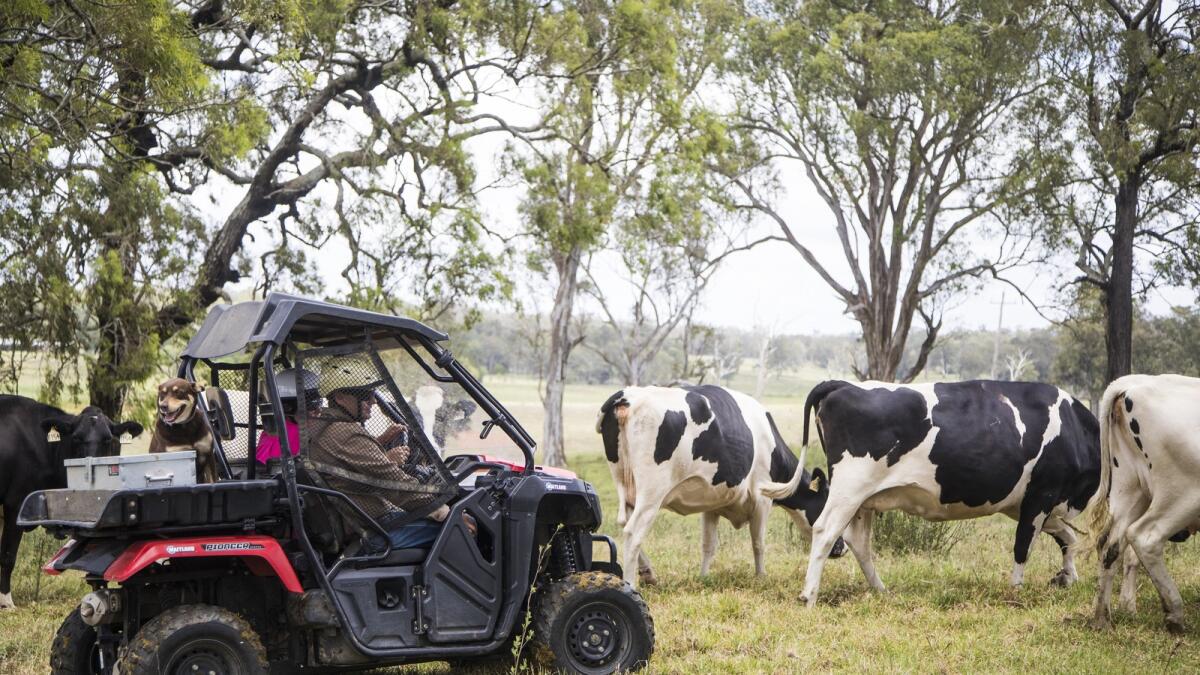 Enhancing Workplace Safety in Agriculture with IoT