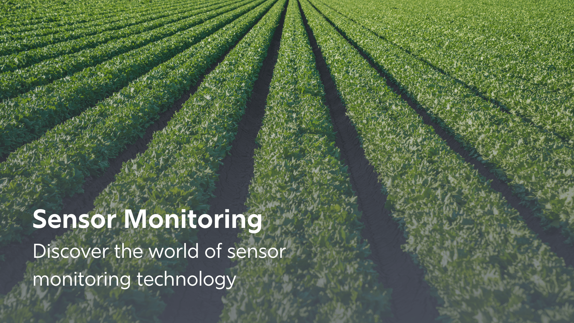 Sensor Monitoring