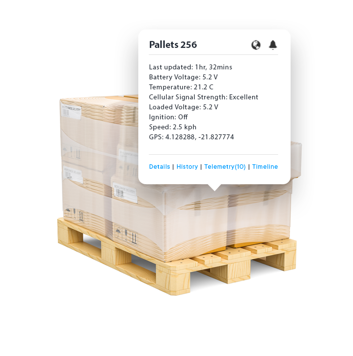 GPS Pallet Tracking 256