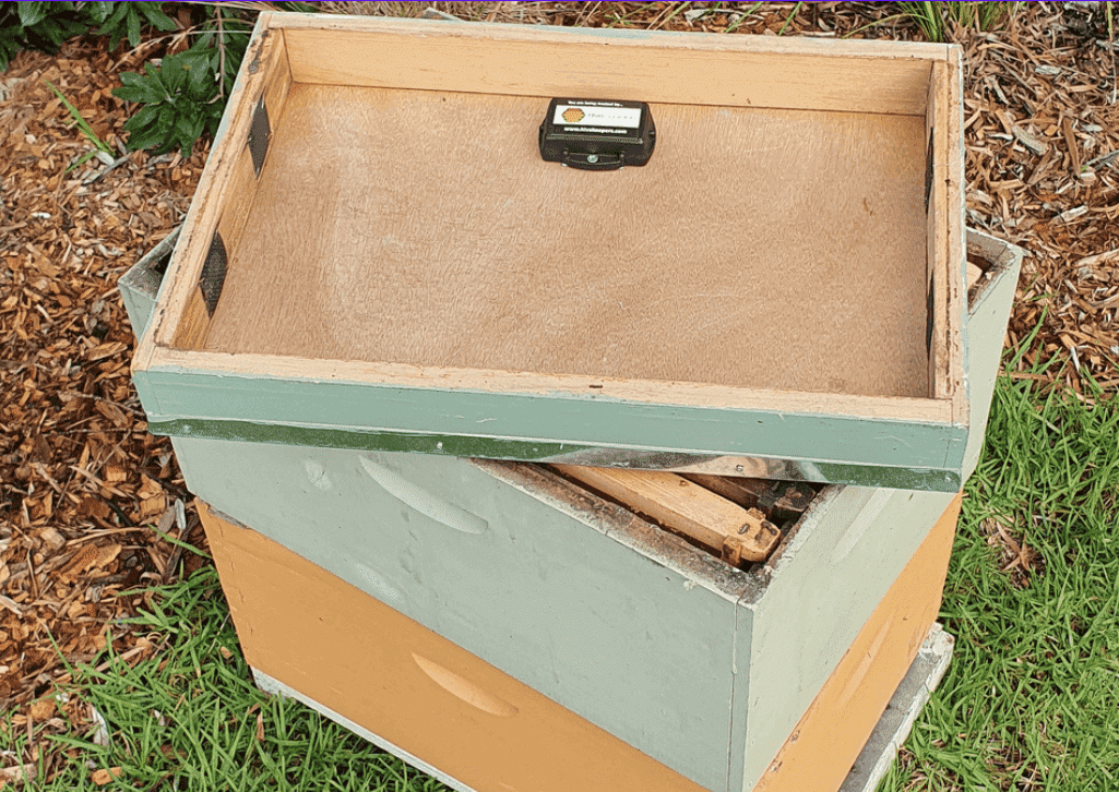 beehive tracking
