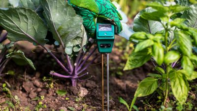 Soil Moisture Monitoring - header image