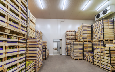 Cold Chain Temperature Monitoring Solutions